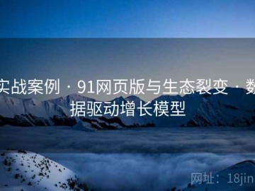 实战案例 · 91网页版与生态裂变 · 数据驱动增长模型