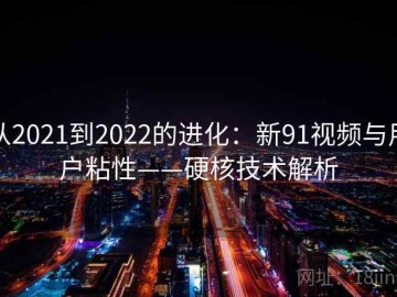 从2021到2022的进化：新91视频与用户粘性——硬核技术解析
