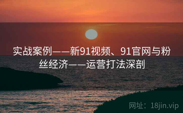 实战案例——新91视频、91官网与粉丝经济——运营打法深剖 实战案例——新91视频、91官网与粉丝经济——运营打法深剖