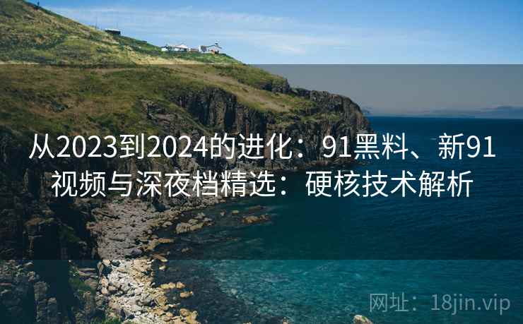 从2023到2024的进化：91黑料、新91视频与深夜档精选：硬核技术解析