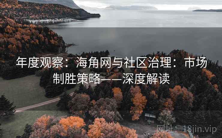 年度观察:海角网与社区治理:市场制胜策略——深度解读 年度观察:海角网与社区治理:市场制胜策略——深度解读