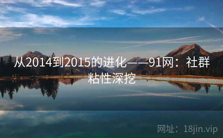 从2014到2015的进化——91网:社群粘性深挖 从2014到2015的进化——91网:社群粘性深挖