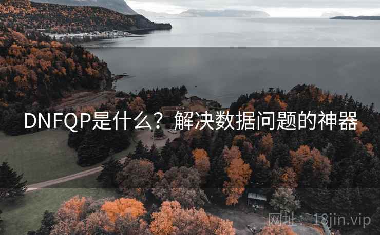 DNFQP是什么?解决数据问题的神器 DNFQP是什么?解决数据问题的神器
