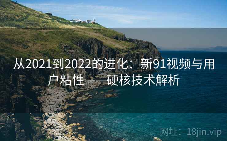 从2021到2022的进化：新91视频与用户粘性——硬核技术解析